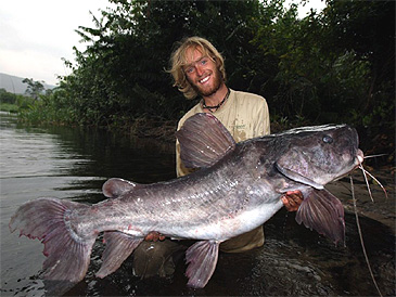 Record photograph for Chrysichthys cranchii